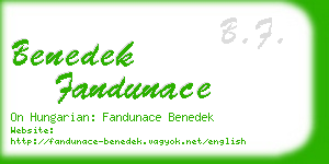 benedek fandunace business card